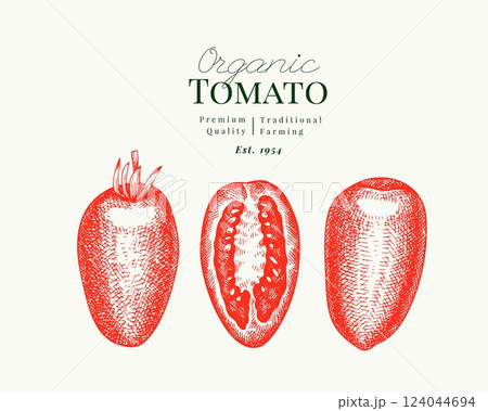 Hand Drawn Tomato Illustration. Retro Vegetable Vector Isolated Image. Old School Farm Food. Hand Drawn Tomato Illustration. Retro Vegetable Vector Isolated Image. Old School Farm Food. 124044694