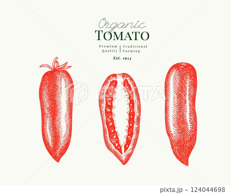 Hand Drawn Tomato Illustration. Retro Vegetable Vector Isolated Image. Old School Farm Food. Hand Drawn Tomato Illustration. Retro Vegetable Vector Isolated Image. Old School Farm Food. 124044698