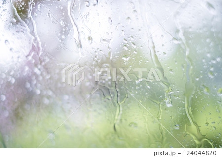 春色の雨のイメージ 124044820