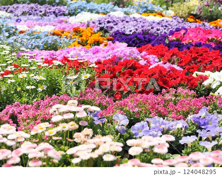 春に咲く色とりどりの花たち 124048295