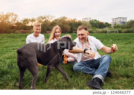 Man is playing with dog. Family have weekend outdoors at summertime together 124048377