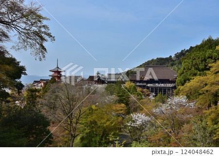京都東山 清水寺 桜咲く頃 京都東山 清水寺 桜咲く頃 124048462