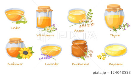 Cartoon honey jars. Honeys mead different type in glass jar or pot, acacia sunflower buckwheat thyme syrup medicine jam ingredients healthy food breakfast, neat vector illustration Cartoon honey jars. Honeys mead different type in glass jar or pot, acacia sunflower buckwheat thyme syrup medicine jam ingredients healthy food breakfast, neat vector illustration 124048558