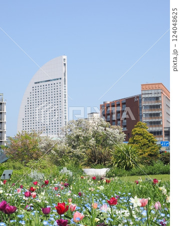 春爛漫!色とりどりのお花畑 春爛漫!色とりどりのお花畑 124048625