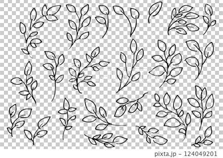 Hand-drawn botanical line drawing illustration of leaves and grass Vector 124049201