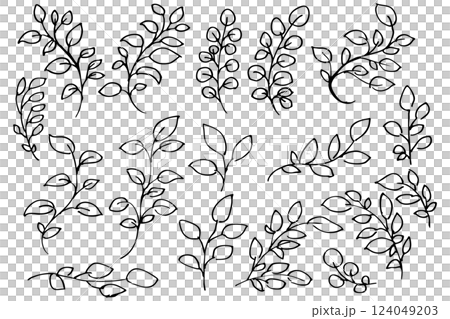 Hand-drawn botanical line drawing illustration of leaves and grass Vector Hand-drawn botanical line drawing illustration of leaves and grass Vector 124049203