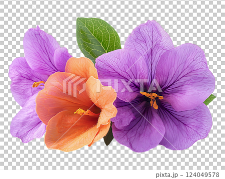 Stunning closeup of vibrant purple and peach blossoms, elegantly arranged with lush green leaves. A perfect metaphor for beauty and contrast, ideal for greeting cards, websites, or wellness branding. Stunning closeup of vibrant purple and peach blossoms, elegantly arranged with lush green leaves. A perfect metaphor for beauty and contrast, ideal for greeting cards, websites, or wellness branding. 124049578