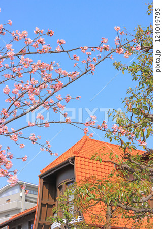愛知県名古屋市、文化のみち二葉館と桜の風景 愛知県名古屋市、文化のみち二葉館と桜の風景 124049795