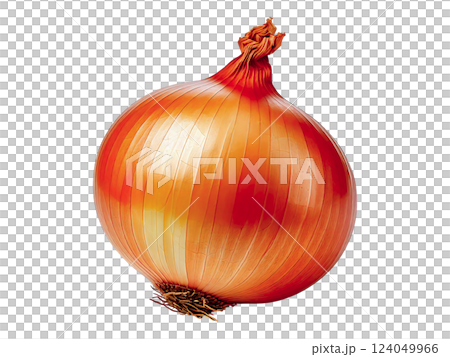 Vibrant studio shot of a single, ripe onion on a white background. Perfect for culinary websites, recipe blogs, or food packaging. Its rich color and detailed texture make it visually striking. Vibrant studio shot of a single, ripe onion on a white background. Perfect for culinary websites, recipe blogs, or food packaging. Its rich color and detailed texture make it visually striking. 124049966