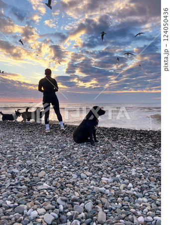Serene coastal moment with black Labrador sitting in foreground, woman gazing at horizon, and group of dogs playing by water under colorful evening sky, walking dog, copy space 124050436