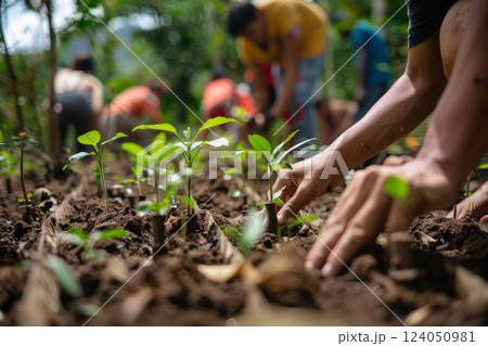 An image of a reforestation project featuring newly planted trees in a forest area Focus on the community-based efforts to restore forested areas to combat global warming 124050981