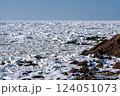 知床半島ウトロに接岸したオホーツク海の流氷 124051073