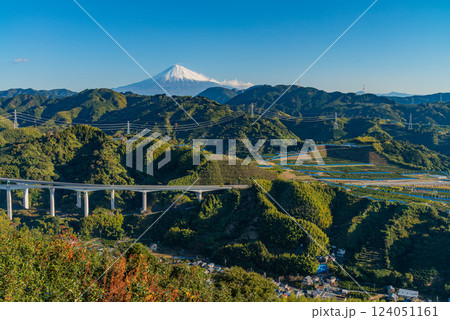 (静岡県)柿が色ついた、吉原の茶畑越しに富士山 (静岡県)柿が色ついた、吉原の茶畑越しに富士山 124051161