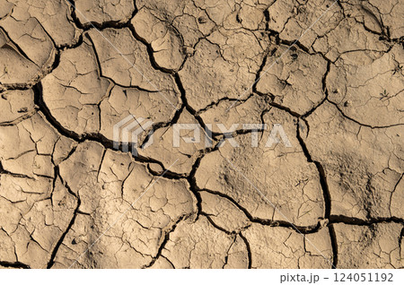 Cracked dry soil. Natural sunlight highlights the texture. Concept of drought, survival and sustainability. Cracked dry soil. Natural sunlight highlights the texture. Concept of drought, survival and sustainability. 124051192
