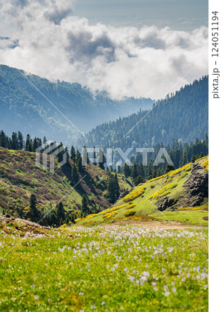 Green mountains with trees, flowers and fresh grass under cloudy sky. Natural landscape concept Green mountains with trees, flowers and fresh grass under cloudy sky. Natural landscape concept 124051194