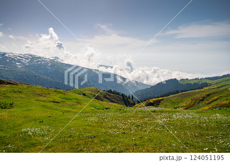 Green mountains with trees, flowers and fresh grass under cloudy sky. Natural landscape concept 124051195