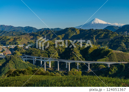 (静岡県)秋の茶畑越しに富士山 (静岡県)秋の茶畑越しに富士山 124051367