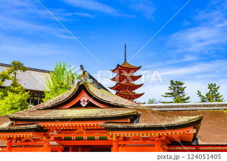 厳島神社 厳島神社 124051405