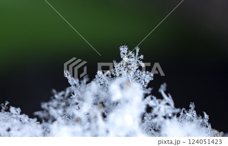 snowflakes, winter card, crystals of snow snowflakes, winter card, crystals of snow 124051423