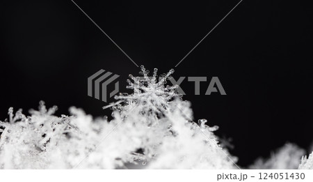 snowflakes, winter card, crystals of snow snowflakes, winter card, crystals of snow 124051430