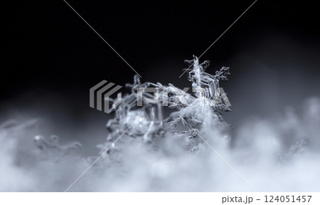 snowflakes, winter card, crystals of snow snowflakes, winter card, crystals of snow 124051457