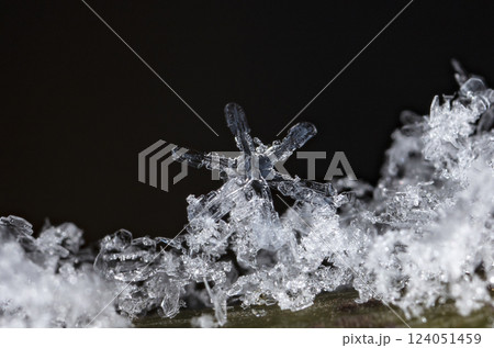 snowflakes, winter card, crystals of snow 124051459