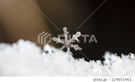 snowflakes, winter card, crystals of snow snowflakes, winter card, crystals of snow 124051461