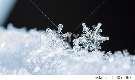 snowflakes, winter card, crystals of snow 124051462