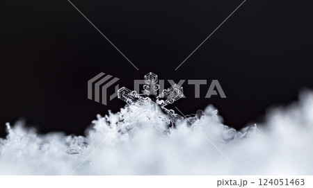 snowflakes, winter card, crystals of snow snowflakes, winter card, crystals of snow 124051463