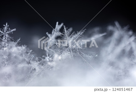 snowflakes, winter card, crystals of snow 124051467