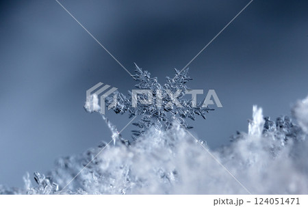 snowflakes, winter card, crystals of snow 124051471
