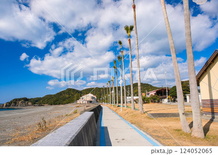 和歌山県白浜町 志原海岸 和歌山県白浜町 志原海岸 124052065