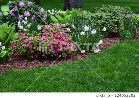A well-maintained garden with various plants and flowers. Purple and White Flourish A well-maintained garden with various plants and flowers. Purple and White Flourish 124052202
