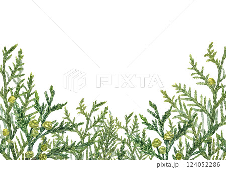 Watercolor cypress branches horizontal frame. Evergreen with green yellow cones illustration with empty space for text. Lush Cupressus twig border for Xmas decor, aromatherapy greeting cards 124052286