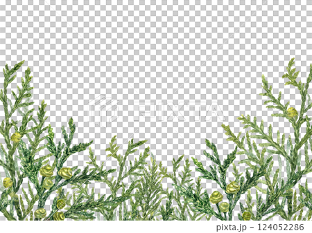 Watercolor cypress branches horizontal frame. Evergreen with green yellow cones illustration with empty space for text. Lush Cupressus twig border for Xmas decor, aromatherapy greeting cards 124052286