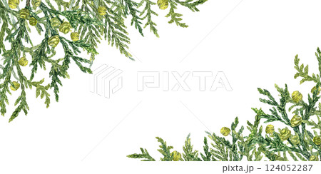 Evergreen coniferous branches horizontal frame isolated background. Cypress twigs with green yellow cones watercolor illustration with copy space for text. Cupressus border for invitation, greetings Evergreen coniferous branches horizontal frame isolated background. Cypress twigs with green yellow cones watercolor illustration with copy space for text. Cupressus border for invitation, greetings 124052287