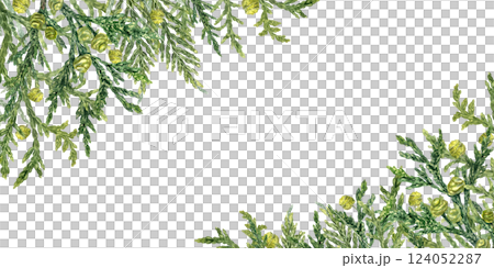 Evergreen coniferous branches horizontal frame isolated background. Cypress twigs with green yellow cones watercolor illustration with copy space for text. Cupressus border for invitation, greetings Evergreen coniferous branches horizontal frame isolated background. Cypress twigs with green yellow cones watercolor illustration with copy space for text. Cupressus border for invitation, greetings 124052287