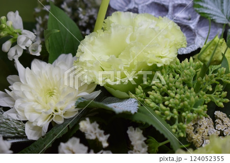 Nature's Beauty: White and Green Floral Harmony Nature's Beauty: White and Green Floral Harmony 124052355