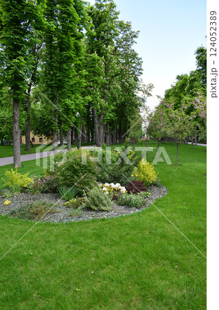 A well-maintained, lush green park area featuring a variety of shrubs, small plants, and trees. Serene Urban Oasis 124052389