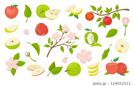 Apple branches. Garden elements, apples fruits, pink flowers and blossom tree branch. Agriculture, harvesting and planting, nature neoteric vector elements 124052511