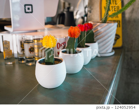 カウンターに置かれたサボテン 124052954