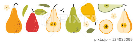 Set with Pears, whole and cut fruits, slices, leaves, flowers and seeds. Modern vector illustration isolated on white background, hand drawn, flat design 124053099