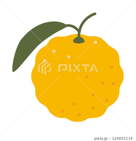 Whole yuzu, juicy fresh citrus fruit. Modern vector illustration isolated on white background, hand drawn, flat design Whole yuzu, juicy fresh citrus fruit. Modern vector illustration isolated on white background, hand drawn, flat design 124053114