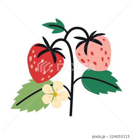 Strawberry plant, plump red and pink berries, green leaves, and flower. Trendy modern vector illustration isolated on white background, hand drawn, flat design 124053115