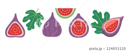 Set with Whole purple Fig, halved fruit with a seeds, slice and leaves. Modern vector illustration isolated on white background, hand drawn, flat design Set with Whole purple Fig, halved fruit with a seeds, slice and leaves. Modern vector illustration isolated on white background, hand drawn, flat design 124053120