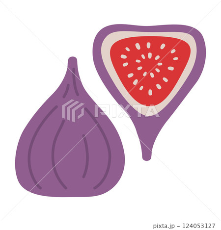 Whole purple Fig and halved fruit with a seeds. Modern vector illustration isolated on white background, hand drawn, flat design Whole purple Fig and halved fruit with a seeds. Modern vector illustration isolated on white background, hand drawn, flat design 124053127