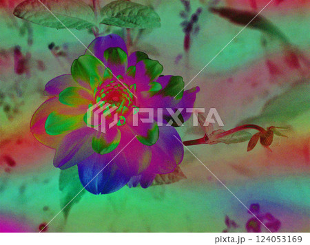Magical flower in ultraviolet light. The flower bud is fantastically beautiful in the garden at night. Neon colours and trendy grain effect Floral art 124053169