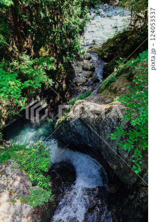 ＜長野＞阿寺渓谷　樽ヶ沢の滝 124053537
