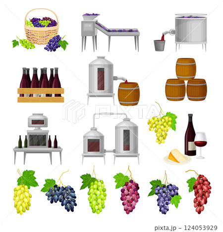 Wine Production with Barrel, Bottle Pouring and Grape Harvest Big Vector Set 124053929