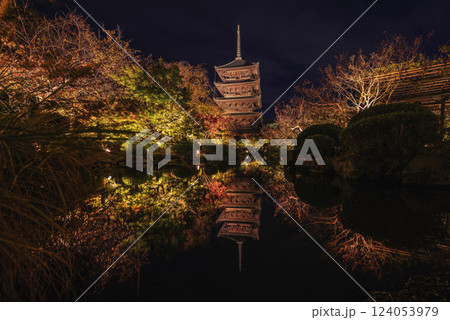 紅葉に包まれた秋の東寺(夜) 124053979